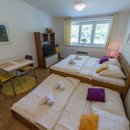 Apartman Lipno 20 Lipno nad Vltavou Ngoại thất bức ảnh