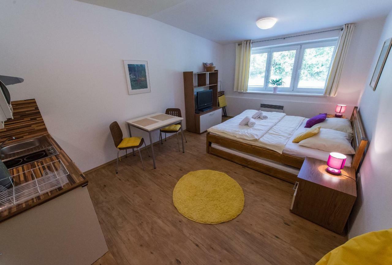 Apartman Lipno 20 Lipno nad Vltavou Ngoại thất bức ảnh